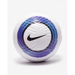 ballon nike premier league